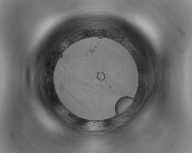 X0000112950526200909211157