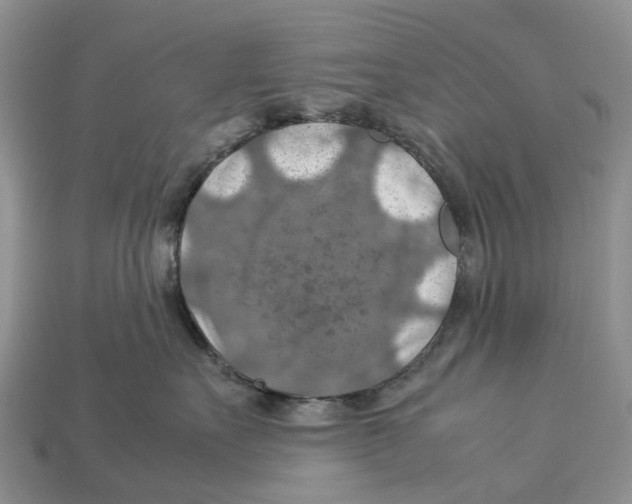 X0000112950527200909211157