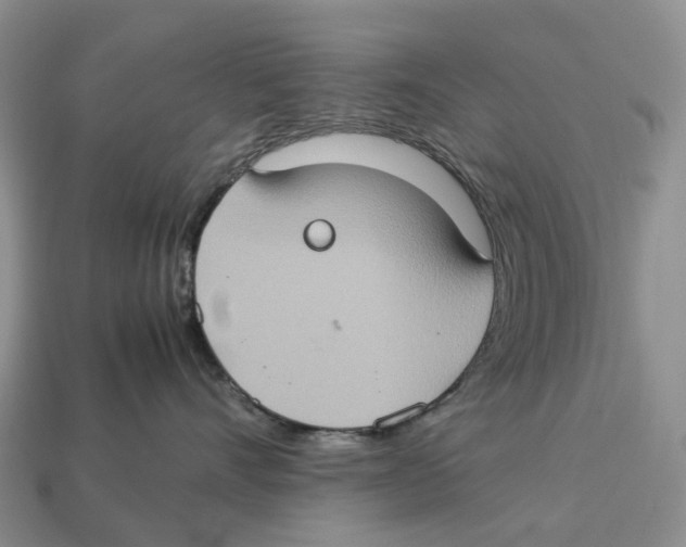 X0000112950528200909211157