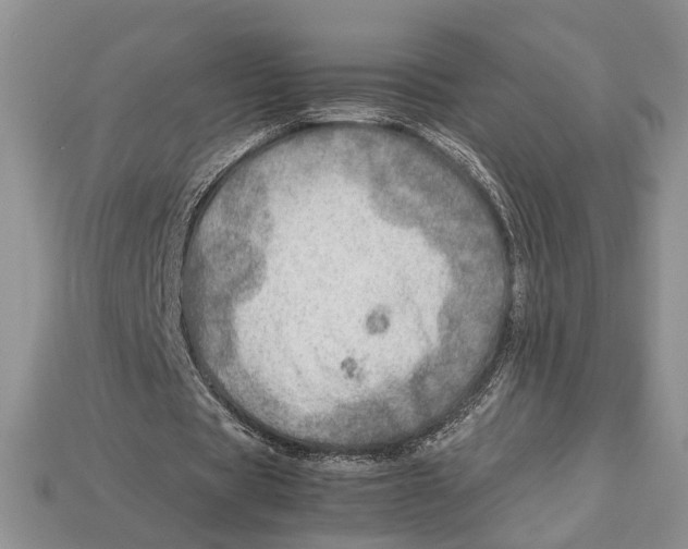 X0000112950529200909211156