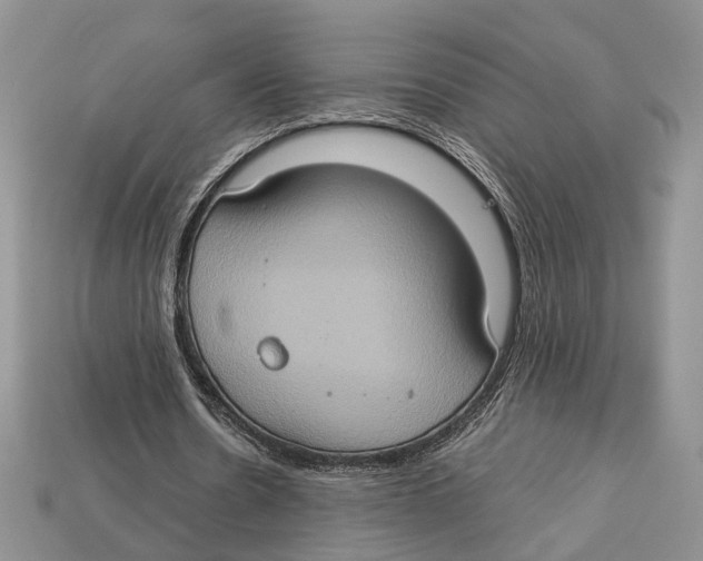 X0000112950530200909211156