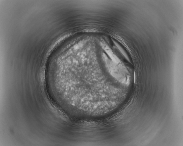 X0000112950531200909211156