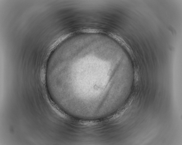 X0000112950533200909211156
