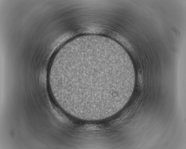 X0000112950534200909211156