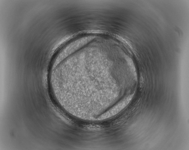 X0000112950535200909211156