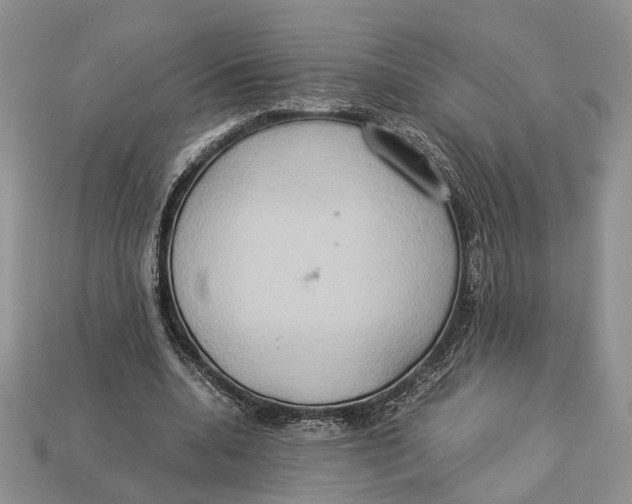 X0000112950536200909211156
