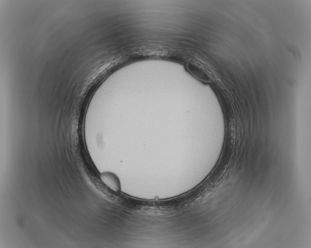 X0000112950538200909211156