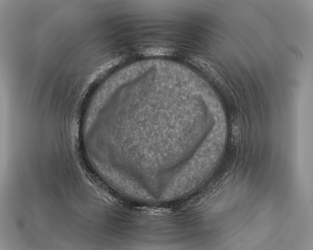X0000112950539200909211156