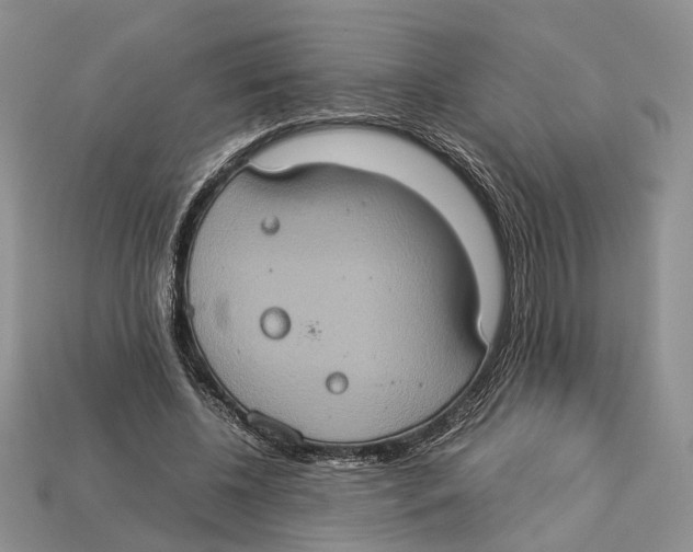 X0000112950540200909211156