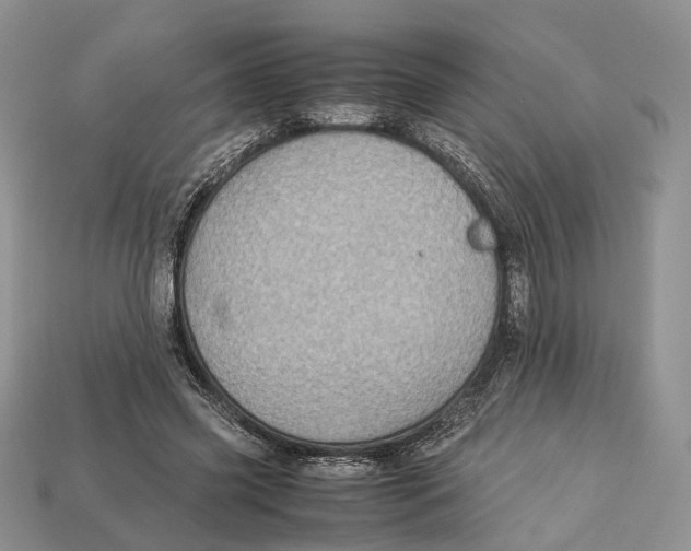 X0000112950541200909211156