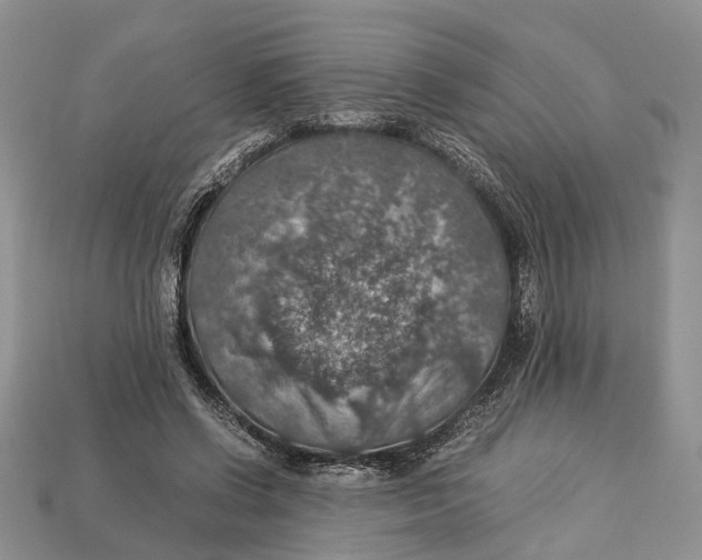 X0000112950542200909211156