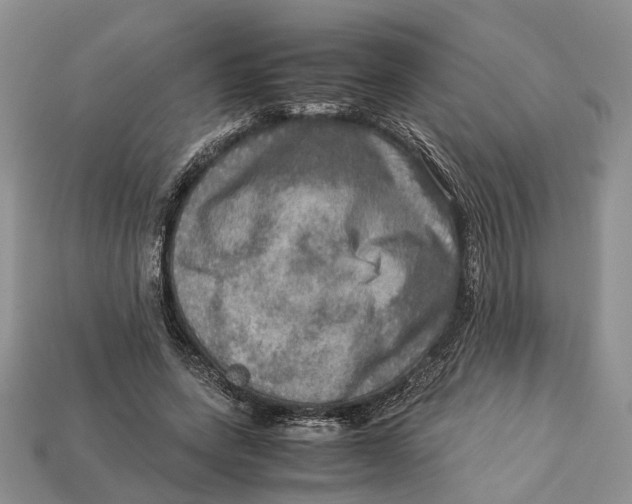 X0000112950543200909211156
