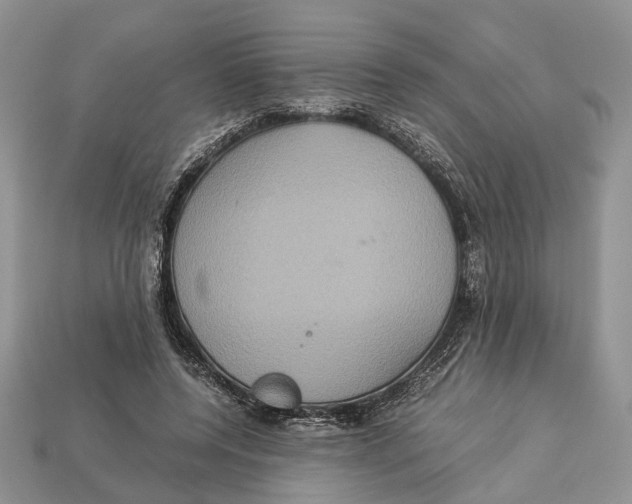 X0000112950544200909211156