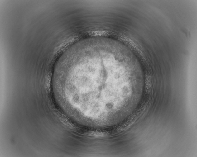 X0000112950545200909211156
