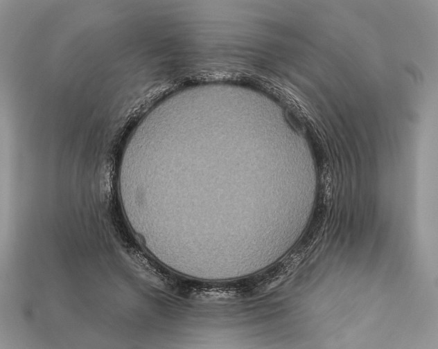 X0000112950546200909211156