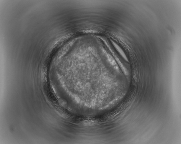 X0000112950547200909211156