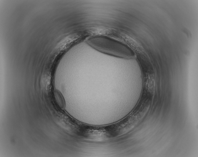 X0000112950548200909211156