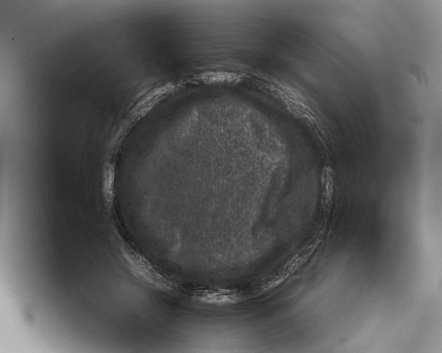 X0000112950550200909211157