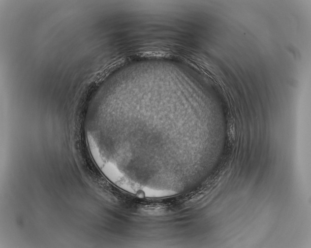 X0000112950551200909211157