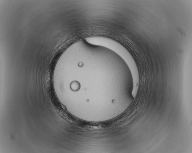 X0000112950552200909211157