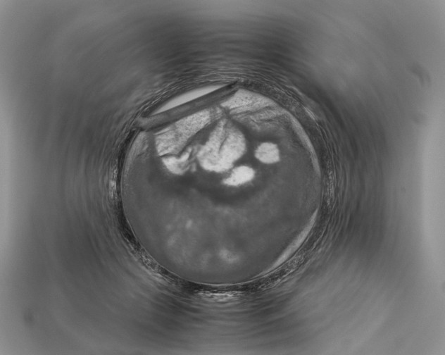 X0000112950553200909211157