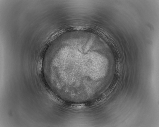 X0000112950554200909211157