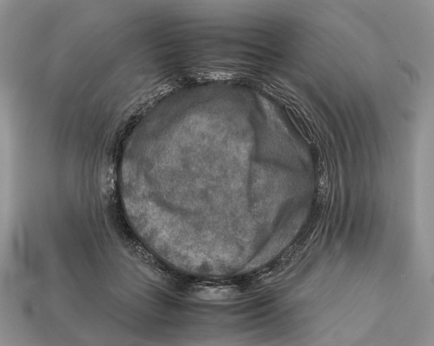 X0000112950555200909211157