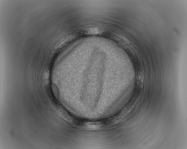 X0000112950556200909211157