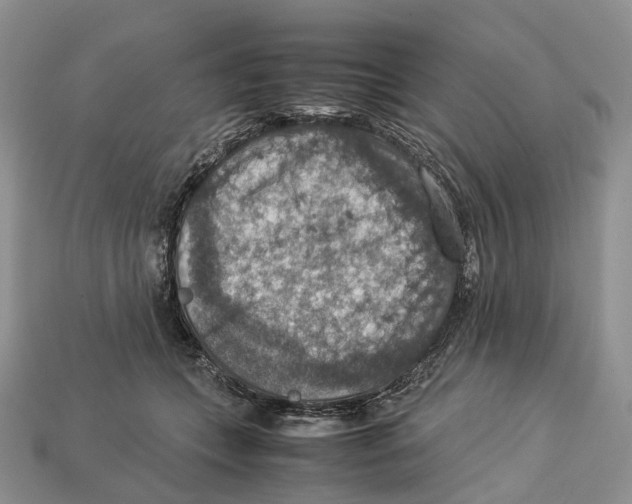 X0000112950559200909211157