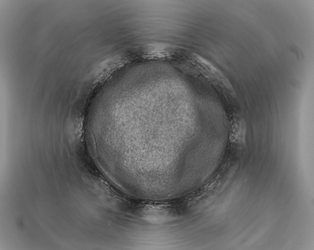 X0000112950560200909211157