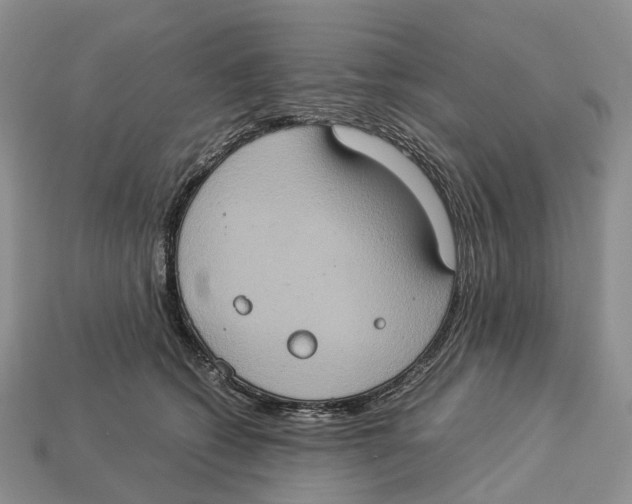 X0000112950562200909211157