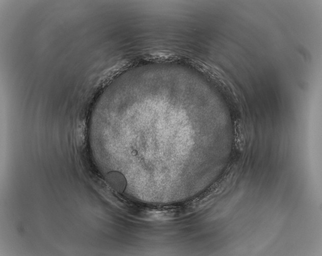 X0000112950563200909211157