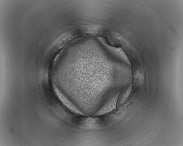 X0000112950566200909211157