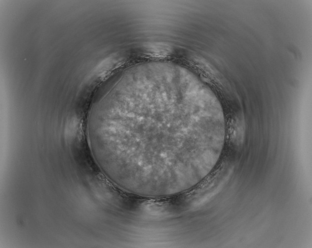 X0000112950568200909211157
