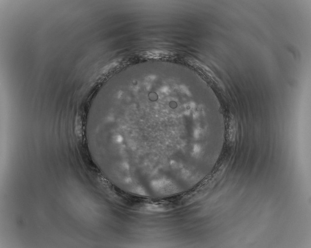 X0000112950569200909211157