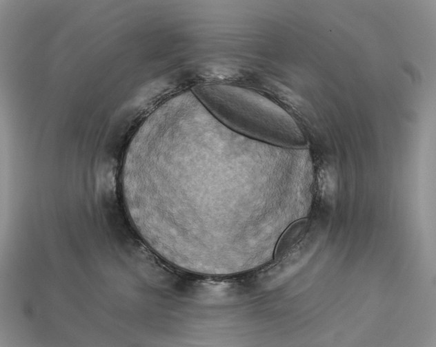 X0000112950570200909211157