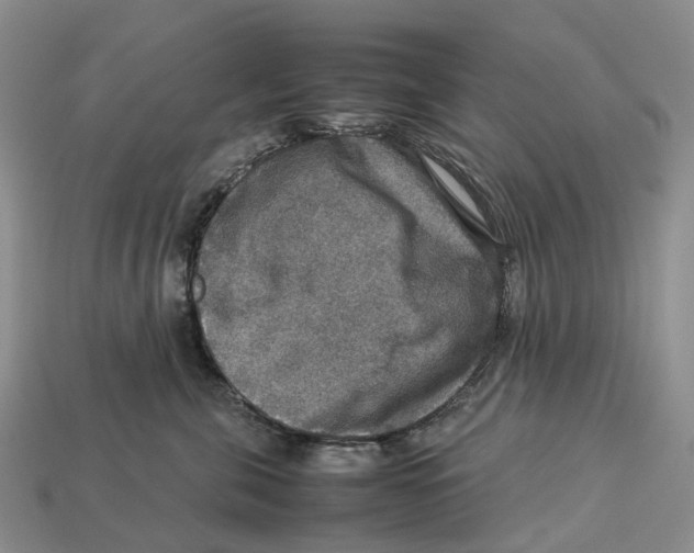 X0000112950571200909211157
