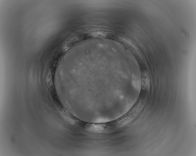 X0000112950573200909211157
