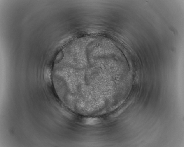 X0000112950575200909211157