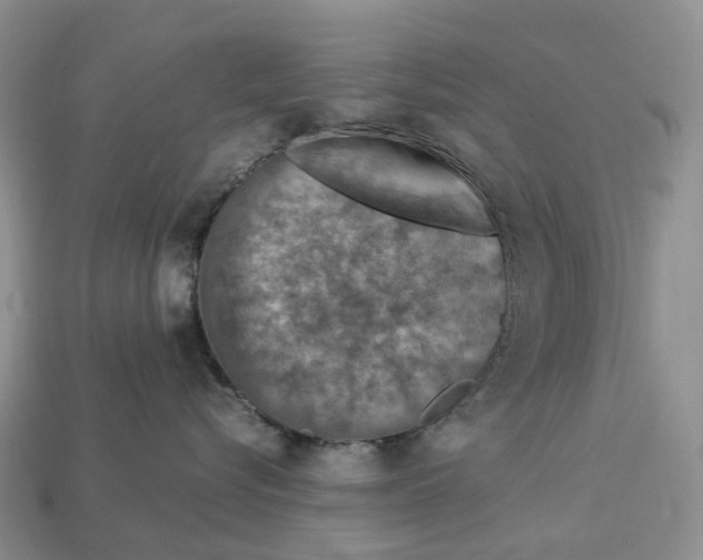 X0000112950576200909211157