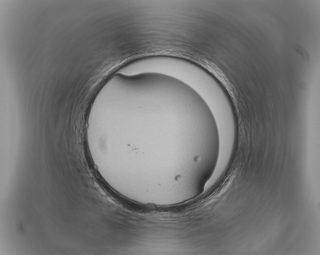 X0000112950577200909211156