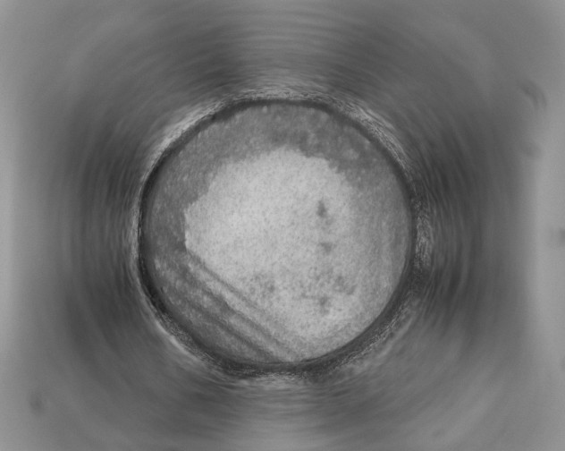 X0000112950578200909211156