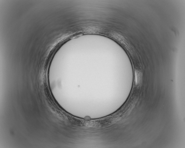 X0000112950579200909211156