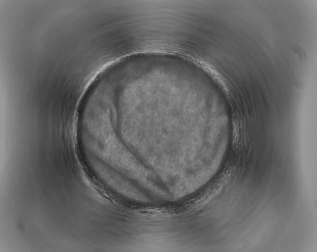 X0000112950580200909211156