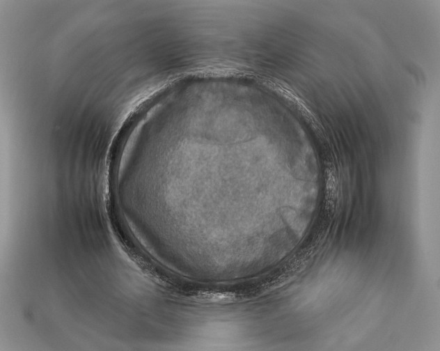 X0000112950582200909211156