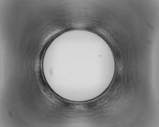 X0000112950583200909211156