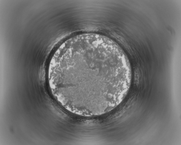 X0000112950584200909211156