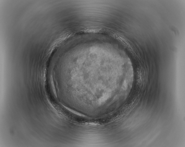 X0000112950586200909211156