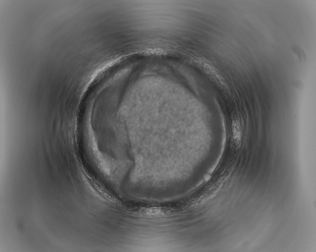 X0000112950588200909211156