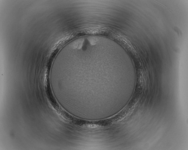 X0000112950590200909211156